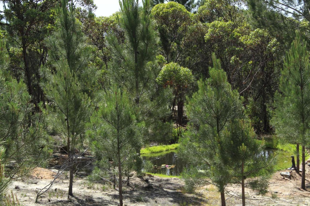 Otium Oasis Glamping & Camping Hartebeesrivier Dış mekan fotoğraf