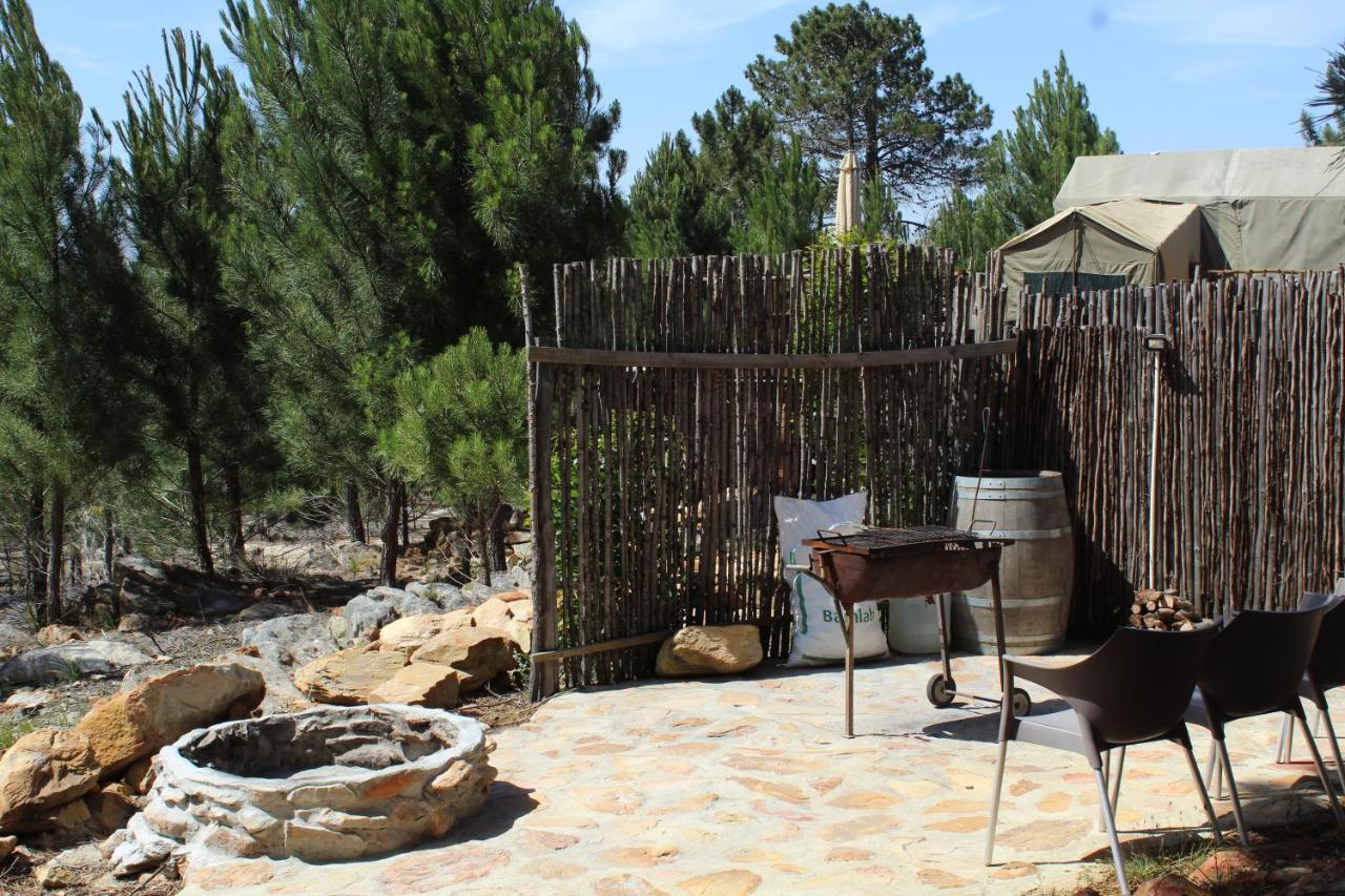 Otium Oasis Glamping & Camping Hartebeesrivier Dış mekan fotoğraf