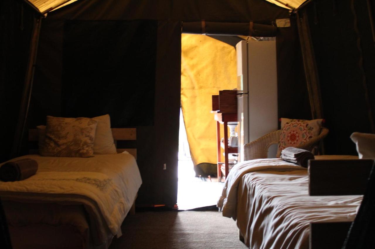 Otium Oasis Glamping & Camping Hartebeesrivier Dış mekan fotoğraf