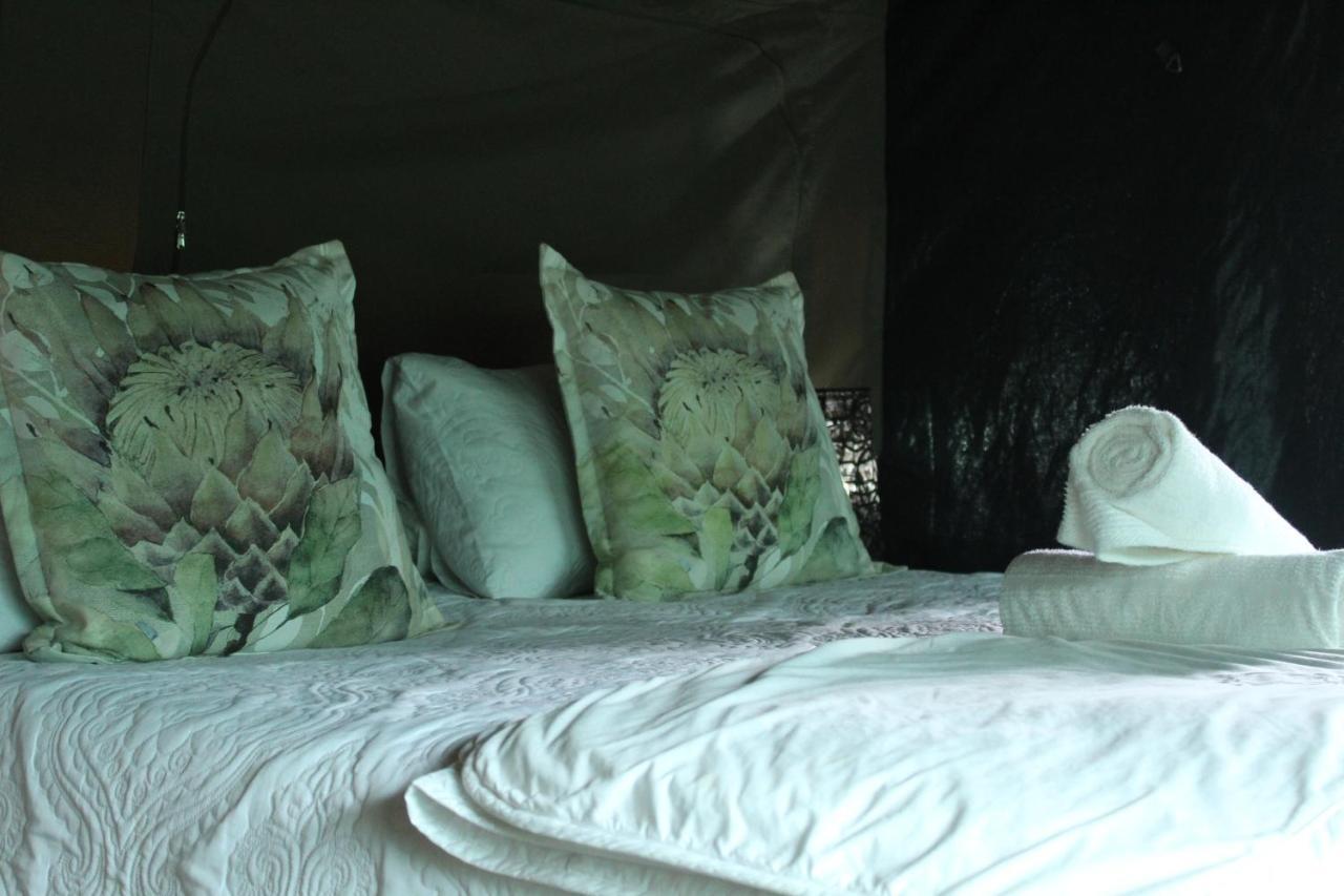 Otium Oasis Glamping & Camping Hartebeesrivier Dış mekan fotoğraf