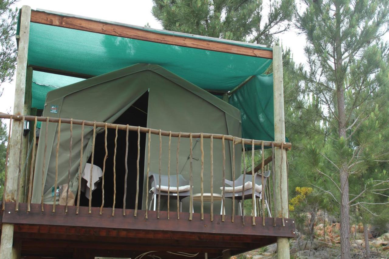 Otium Oasis Glamping & Camping Hartebeesrivier Dış mekan fotoğraf
