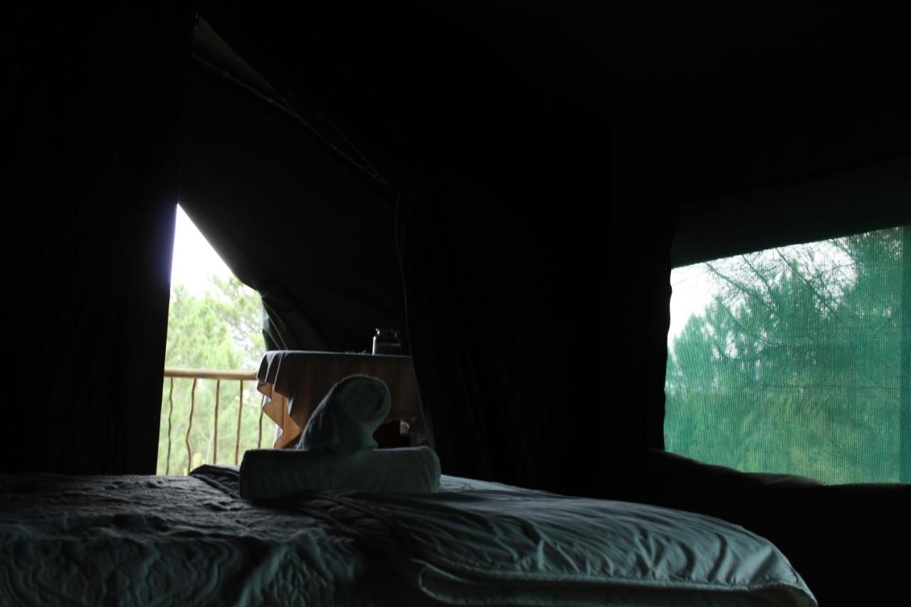 Otium Oasis Glamping & Camping Hartebeesrivier Dış mekan fotoğraf