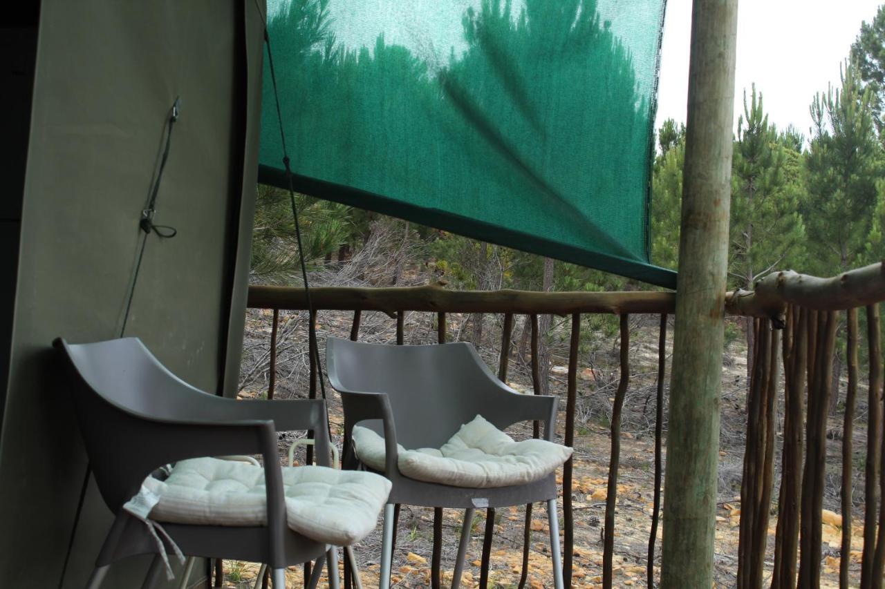 Otium Oasis Glamping & Camping Hartebeesrivier Dış mekan fotoğraf