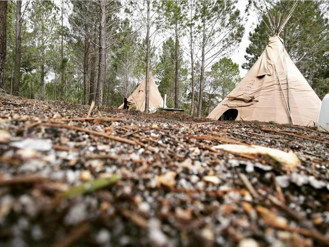 Otium Oasis Glamping & Camping Hartebeesrivier Dış mekan fotoğraf