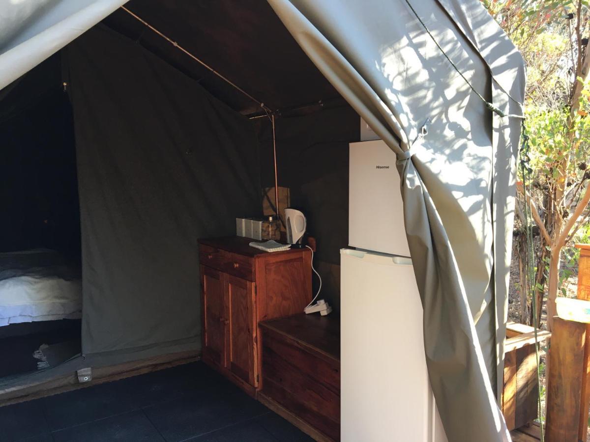 Otium Oasis Glamping & Camping Hartebeesrivier Dış mekan fotoğraf