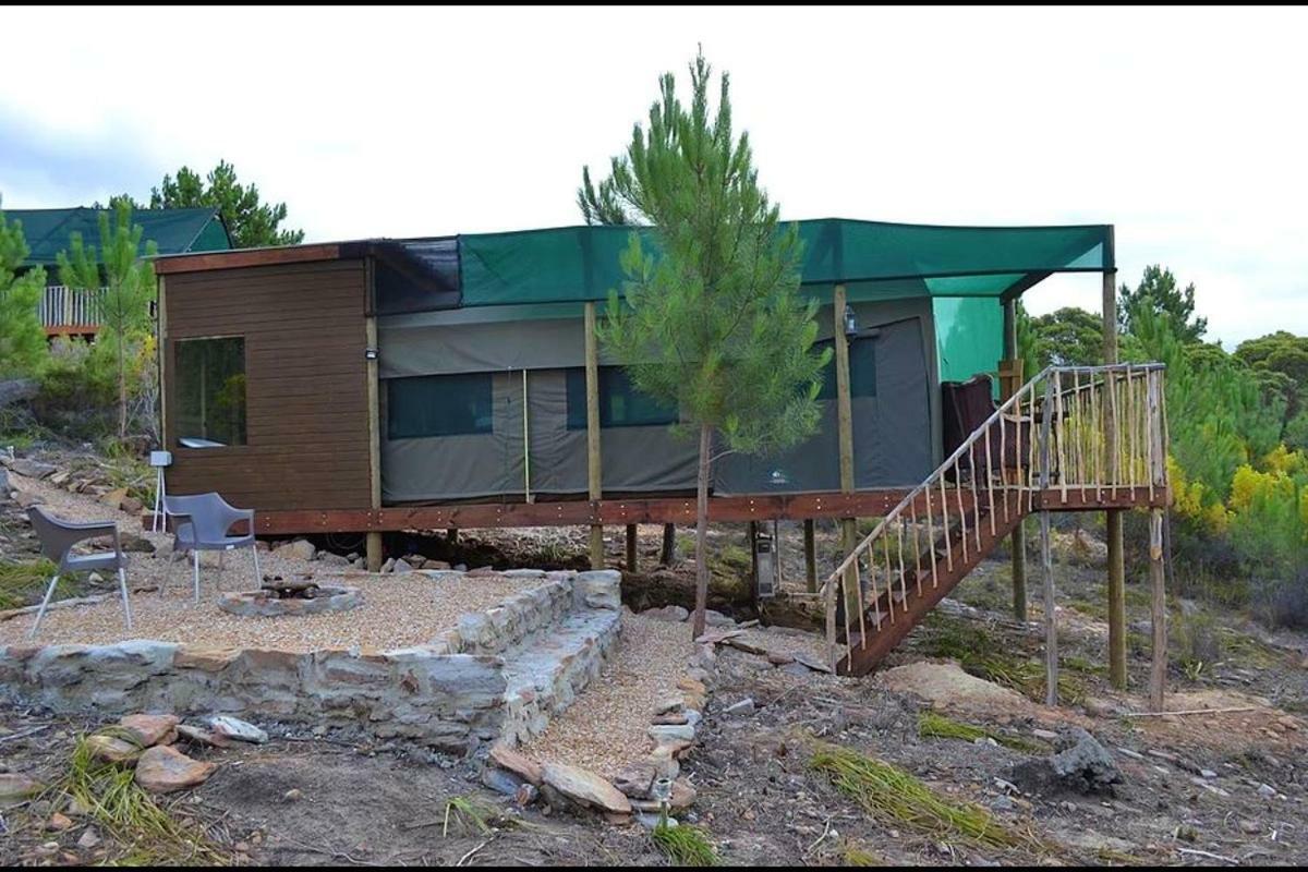 Otium Oasis Glamping & Camping Hartebeesrivier Dış mekan fotoğraf