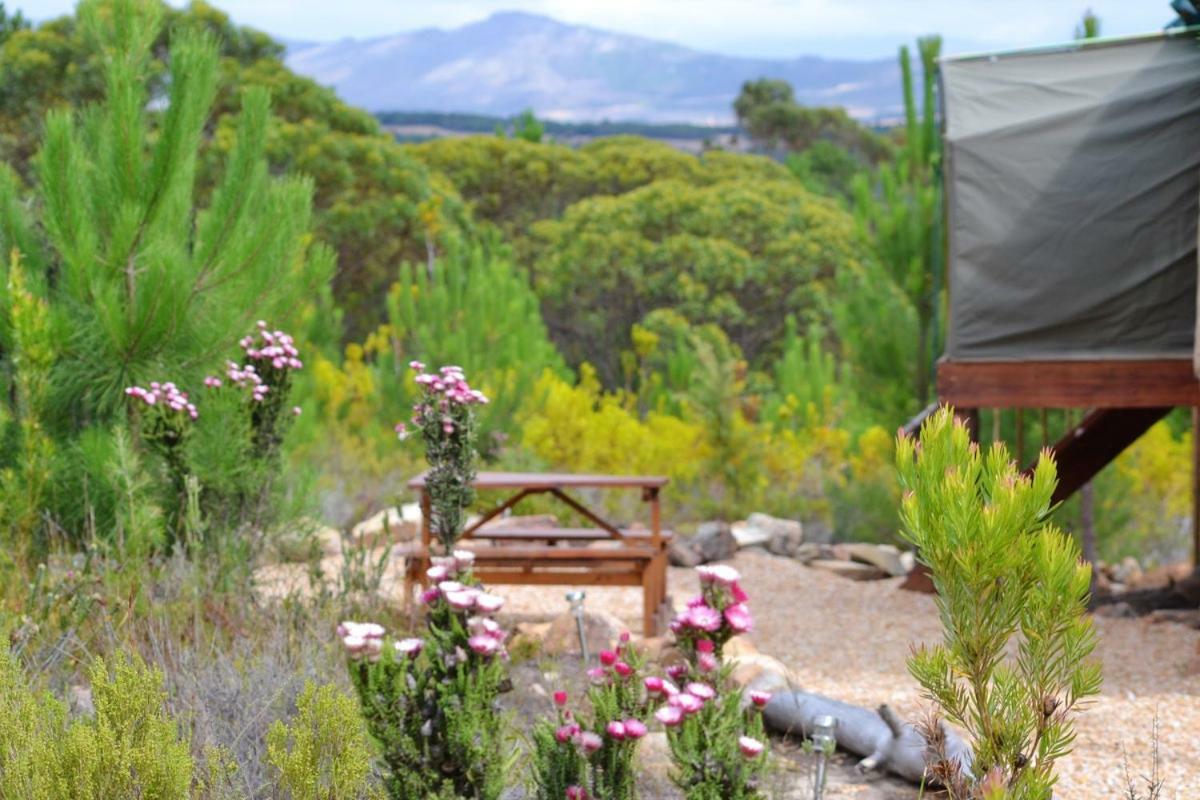 Otium Oasis Glamping & Camping Hartebeesrivier Dış mekan fotoğraf