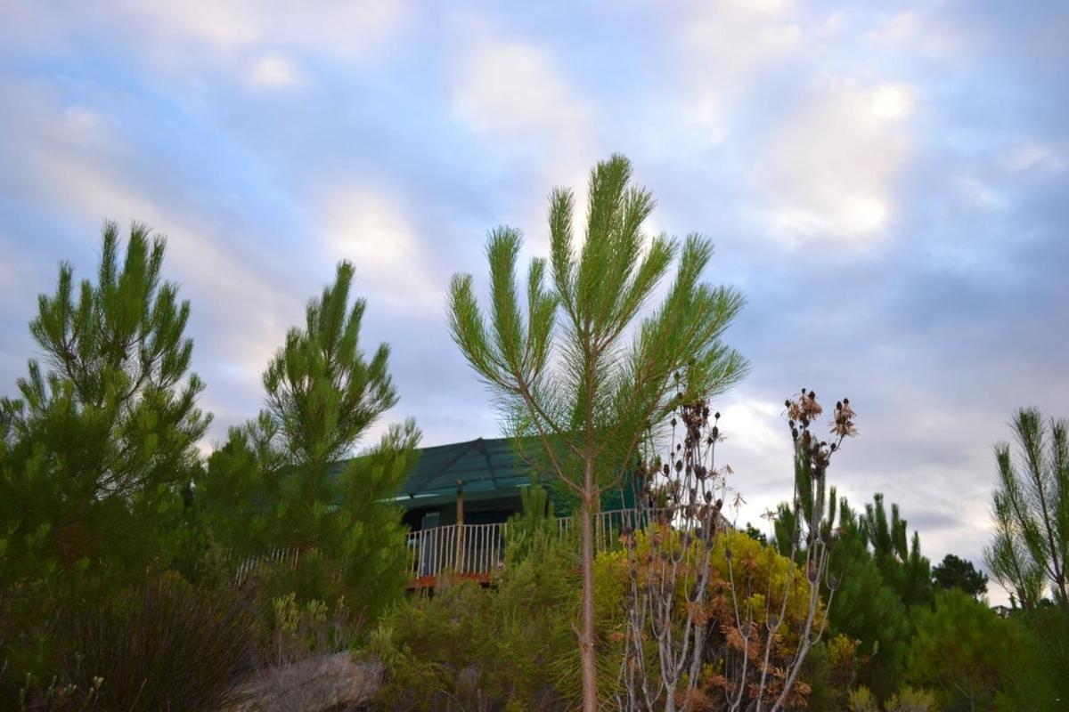 Otium Oasis Glamping & Camping Hartebeesrivier Dış mekan fotoğraf
